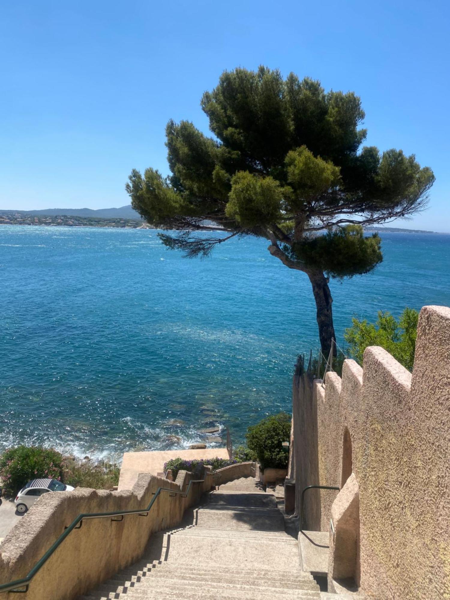 Casa Paloma Apartamento Sanary-sur-Mer Exterior foto